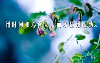 工作正能量鼓勵的句子說(shuō)說(shuō)心情