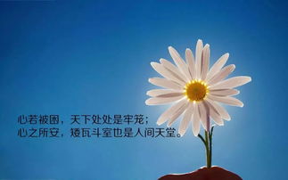早安,句子,激勵,能量