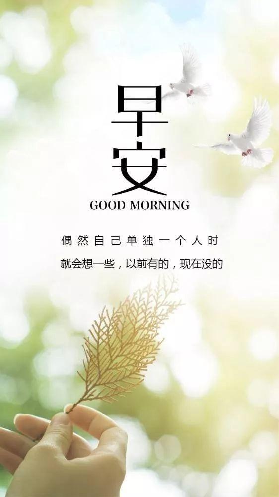 句子,滿(mǎn)滿(mǎn),能量,努力