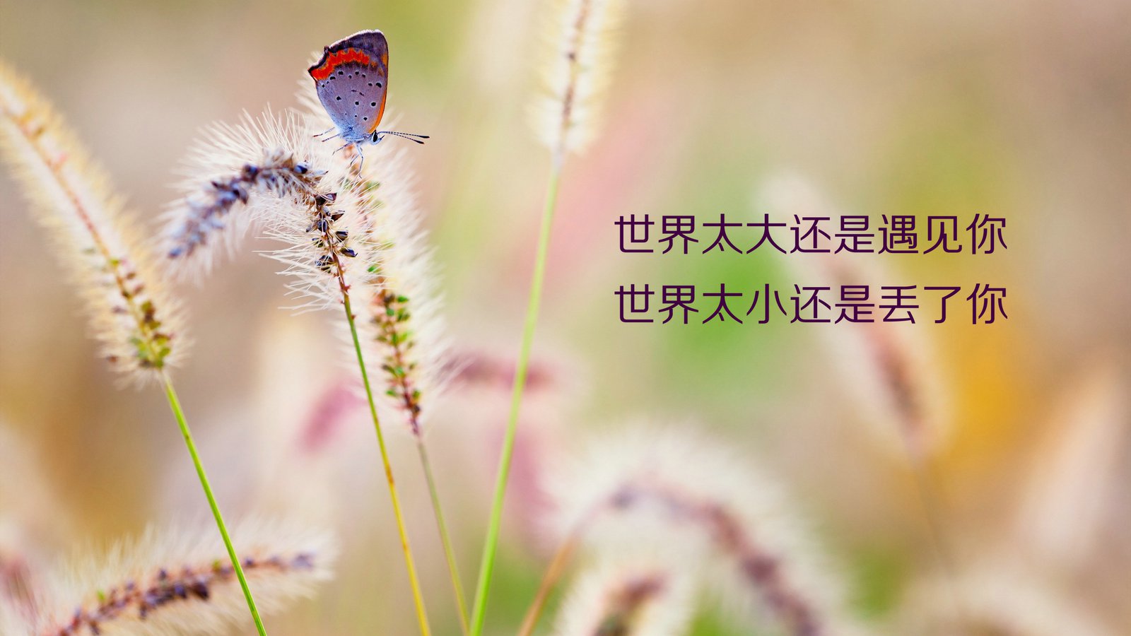 句子,能量,微笑