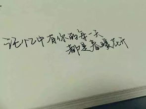 最好的,句子,能量,簡(jiǎn)介