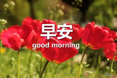 早安幽默正能量的句子說說心情,早安正能量句子說說心情短語,早安正能量的句子說說2021年