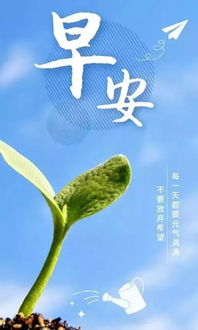發(fā)朋友圈的句子正能量,發(fā)朋友圈的精美句子正能量,下班了發(fā)朋友圈句子正能量
