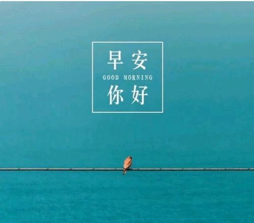 周六快樂(lè )正能量的句子,快樂(lè )正能量的句子經(jīng)典語(yǔ)句,傳遞快樂(lè )正能量的句子