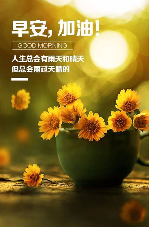 情感心語(yǔ)簡(jiǎn)短正能量的句子
