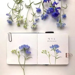 抖音對生活正能量句子