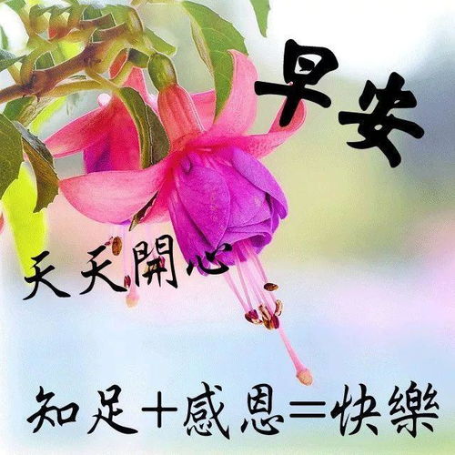問(wèn)候早安的正能量激勵句子,朋友圈問(wèn)候早安的正能量句子,早上問(wèn)候的句子正能量