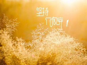 鼓勵正能量的句子經(jīng)典語(yǔ)錄,投資正能量的句子經(jīng)典語(yǔ)錄,佛教正能量的句子經(jīng)典語(yǔ)錄