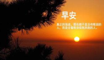 正能量一句話勵(lì)志短句子,正能量走心的句子簡短一句話,今日收獲正能量的句子一句話
