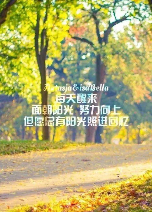 冬天早上發(fā)的正能量句子,冬天早上滿(mǎn)滿(mǎn)的正能量句子,適合早上正能量的短句子