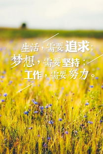 適合早上發(fā)圈的正能量的句子,適合女人早上發(fā)圈的正能量句子,早上發(fā)圈正能量滿(mǎn)滿(mǎn)的句子