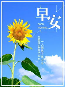 發(fā)朋友圈早安正能量句子和照片,發(fā)朋友圈早安正能量句子抖音最火,發(fā)朋友圈早安的正能量句子和