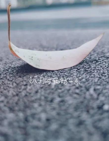 八月散發(fā)正能量的句子,八月正能量的句子經(jīng)典語(yǔ)句,每天一段正能量的句子