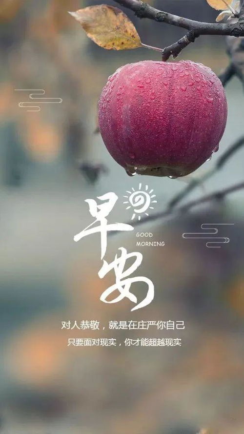 正能量的句子經(jīng)典語(yǔ)句生活要開(kāi)心的短句,對(duì)生活正能量的句子經(jīng)典語(yǔ)句,志愿者正能量的句子經(jīng)典語(yǔ)句