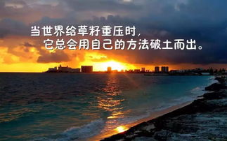 適合發(fā)微信朋友圈正能量的句子