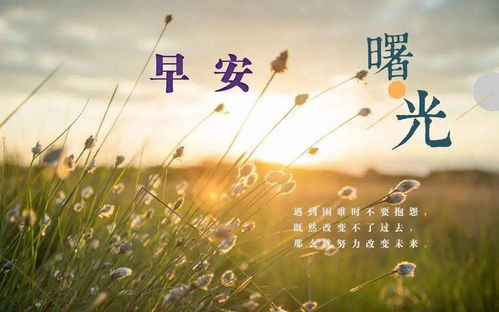充滿(mǎn)正能量的句子5月份