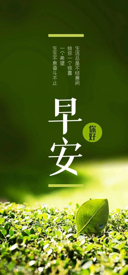 一周正能量句子,很長(cháng)的正能量句子,搜一段正能量句子