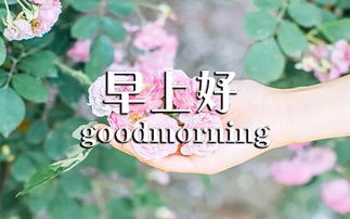 正能量經(jīng)典句子早安語(yǔ)錄經(jīng)典