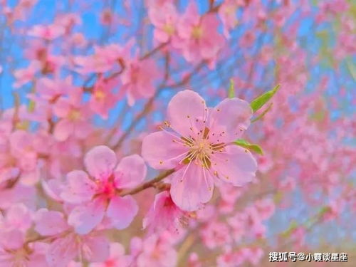 句子,能量,大海,陽(yáng)光