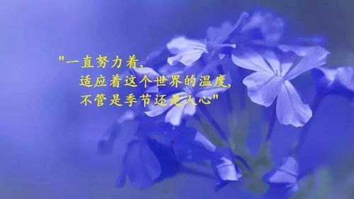 句子,滿(mǎn)滿(mǎn),能量,女孩子