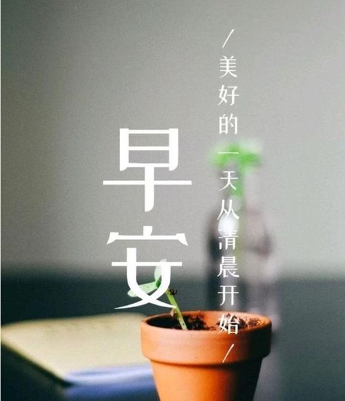 英語(yǔ),句子,能量,人生