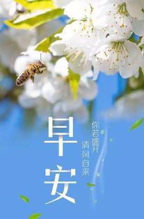 溫柔語(yǔ)錄正能量句子