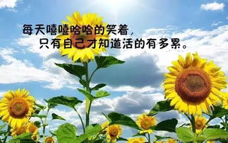 早安正能量的句子經(jīng)典語(yǔ)句,早安心語(yǔ)正能量的經(jīng)典語(yǔ)句,正能量問(wèn)早安的經(jīng)典語(yǔ)句