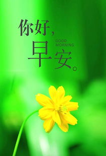 早安簡(jiǎn)短唯美句子正能量
