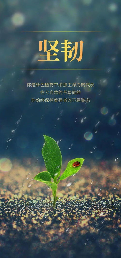 關(guān)于生命的正能量句子,生命正能量的句子經(jīng)典語(yǔ)句,有關(guān)生命的好句子