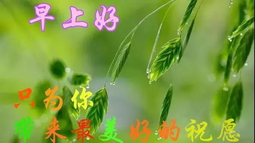 早安溫暖正能量句子