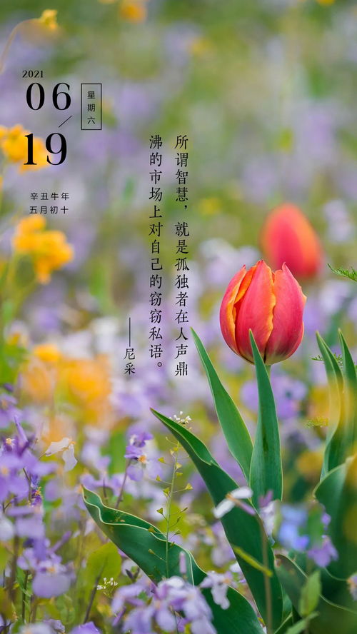 早上好的句子短語正能量帶圖,早上好的句子情人正能量短語,早上好的句子正能量朋友圈短語