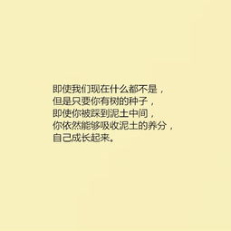 網(wǎng)絡(luò)正能量句子經(jīng)典,弘揚(yáng)網(wǎng)絡(luò)正能量的句子,網(wǎng)絡(luò)流行正能量的句子