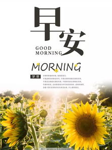 句子,能量,大全