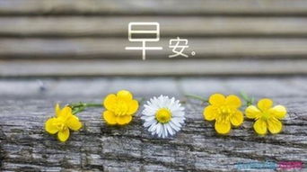 早安勵(lì)志心語正能量句子,工作早安心語正能量句子,周末早安心語正能量句子