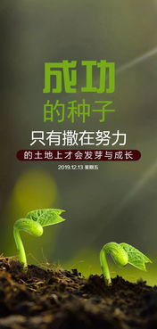英語(yǔ),句子,能量,優(yōu)美