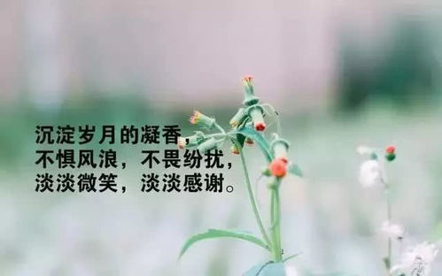 正能量句子說說心情短語,一個人正能量的句子說說心情短語,感謝正能量的句子說說心情短語