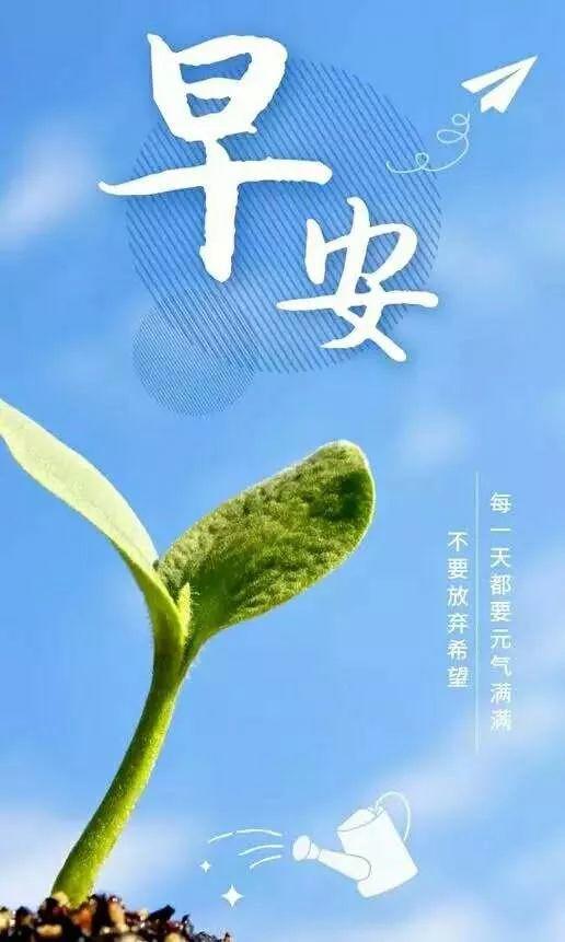 正能量句子分享及感悟