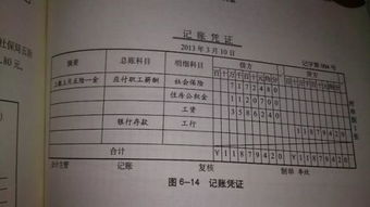 繳納社保為什么用其他應付款,繳納社保是其他應收款還是其他應付款,個(gè)人繳納社保會(huì )計科目