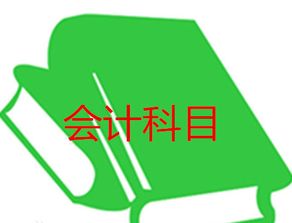 記入,會(huì )計科目,公司,軟件