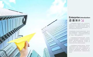 最新外貿企業(yè)會(huì )計科目