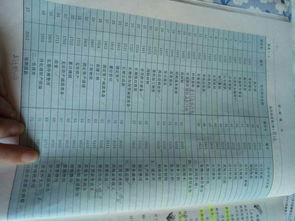 常用會(huì )計科目怎么背誦