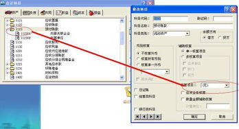 會(huì )計科目輔助項目都有哪些,設置會(huì )計科目的項目,設置項目輔助核算的會(huì )計科目