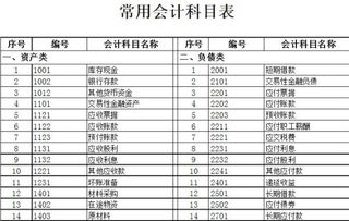 政府投資開(kāi)發(fā)公司會(huì )計科目