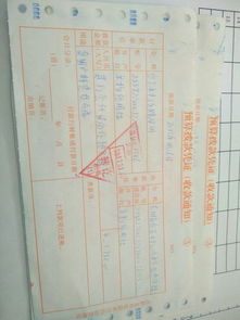 退耕還林,會(huì )計科目