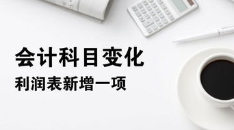 下列選項中可以核算利潤總額的會(huì )計科目有