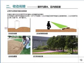 園林綠化葉會(huì )計科目,園林綠化計入什么會(huì )計科目,園林綠化工程施工企業(yè)會(huì )計科目