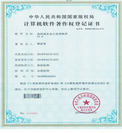 軟件年費計入哪個(gè)會(huì )計科目,軟件運維費計入哪個(gè)會(huì )計科目,軟件著(zhù)作權申請費相關(guān)會(huì )計科目