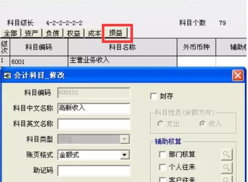 會(huì )計科目,設計,軟件