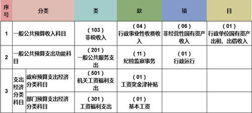 政府收支分類(lèi)科目和會(huì )計科目關(guān)系,政府收支分類(lèi)科目與會(huì )計科目區別,政府會(huì )計制度預算會(huì )計科目