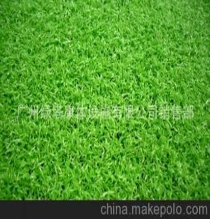 建造固定資產(chǎn)會(huì )計科目,草坪計入什么會(huì )計科目,建造廠(chǎng)房屬于什么會(huì )計科目